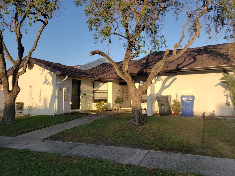 shingle roof replacement in Tampa, Florida