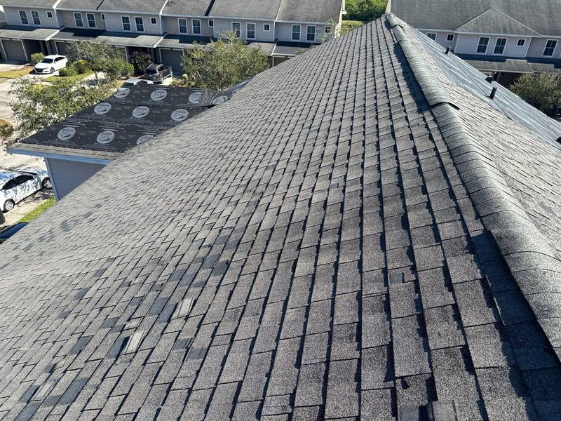 shingle roof replacement in Tampa, Florida