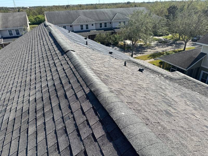 roofing project near Tipperary Lane in Tampa