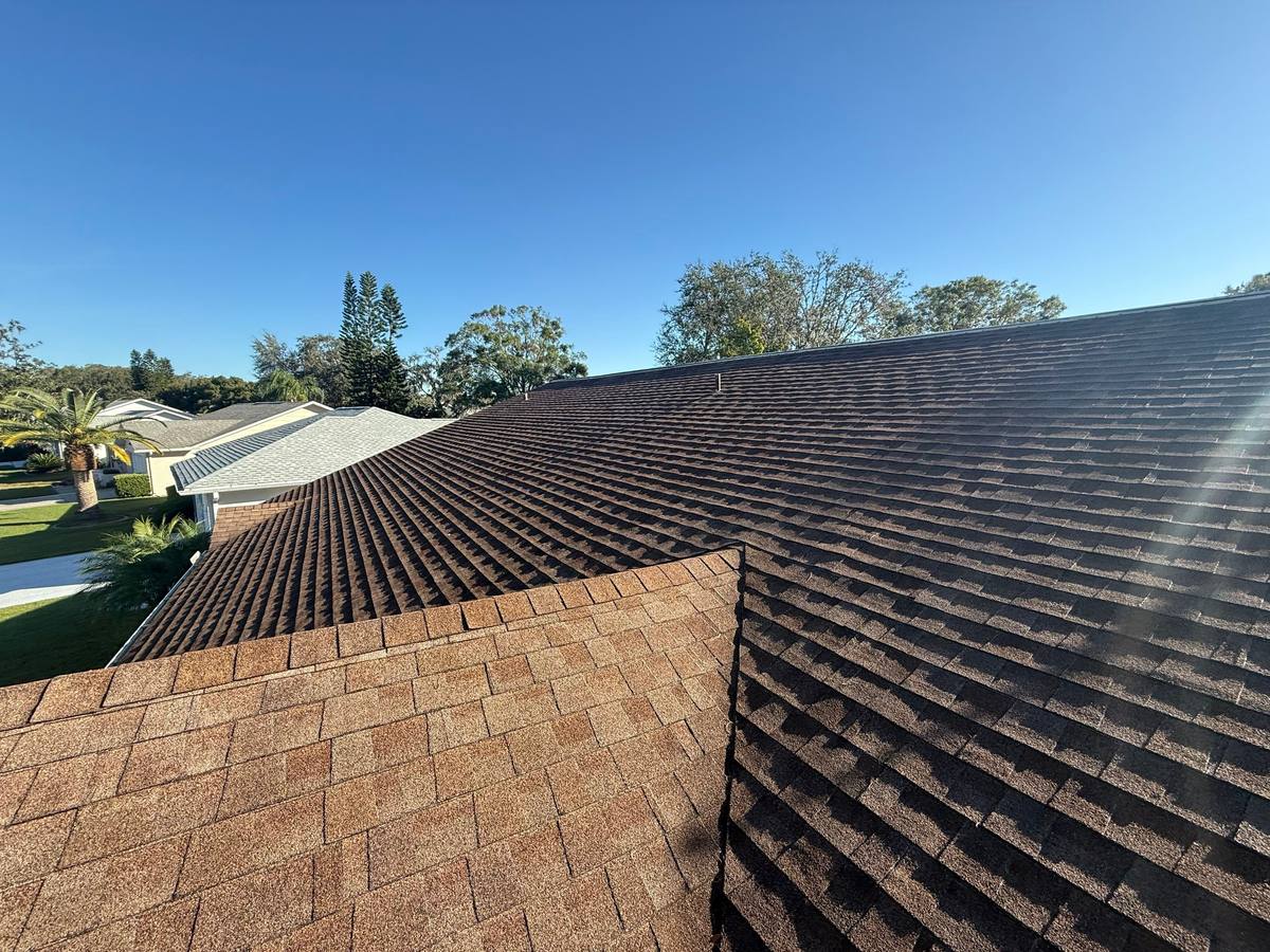 shingle roof replacement in New Port Richey, Florida