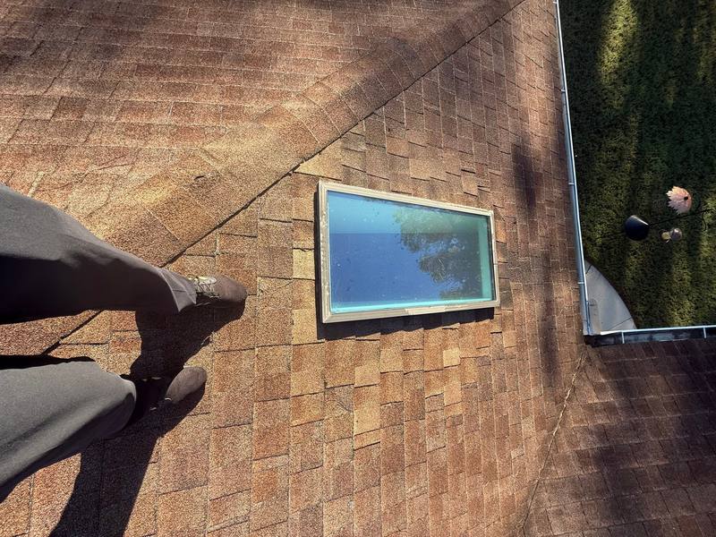 shingle roof replacement in New Port Richey, Florida