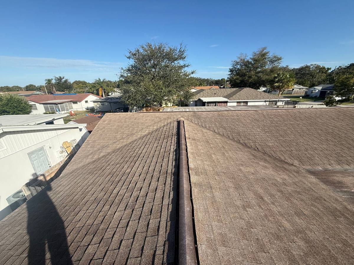 shingle roof replacement in New Port Richey, Florida