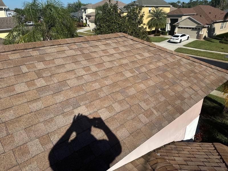 roof repair in Land O Lakes, Florida