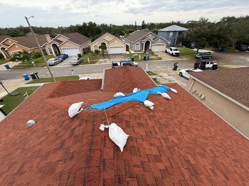 residential shingle roof replacement by Hloska Roofing in Tampa
