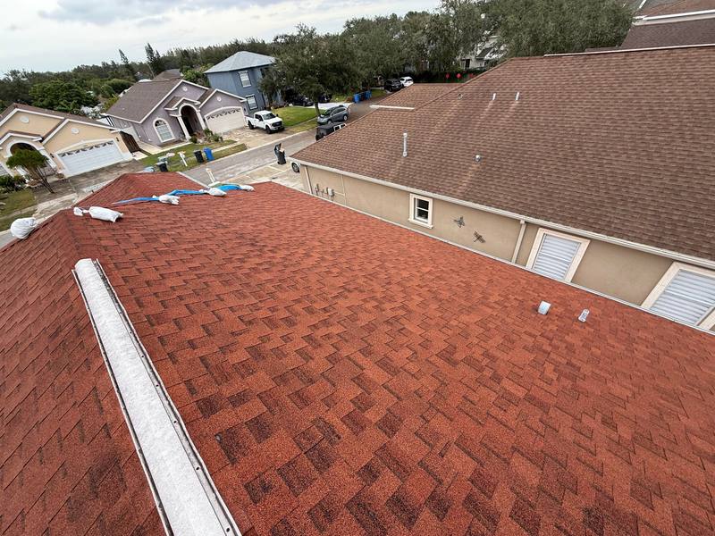 shingle roof replacement in Tampa, Florida