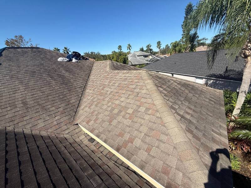 residential shingle roof replacement by Hloska Roofing in Tampa