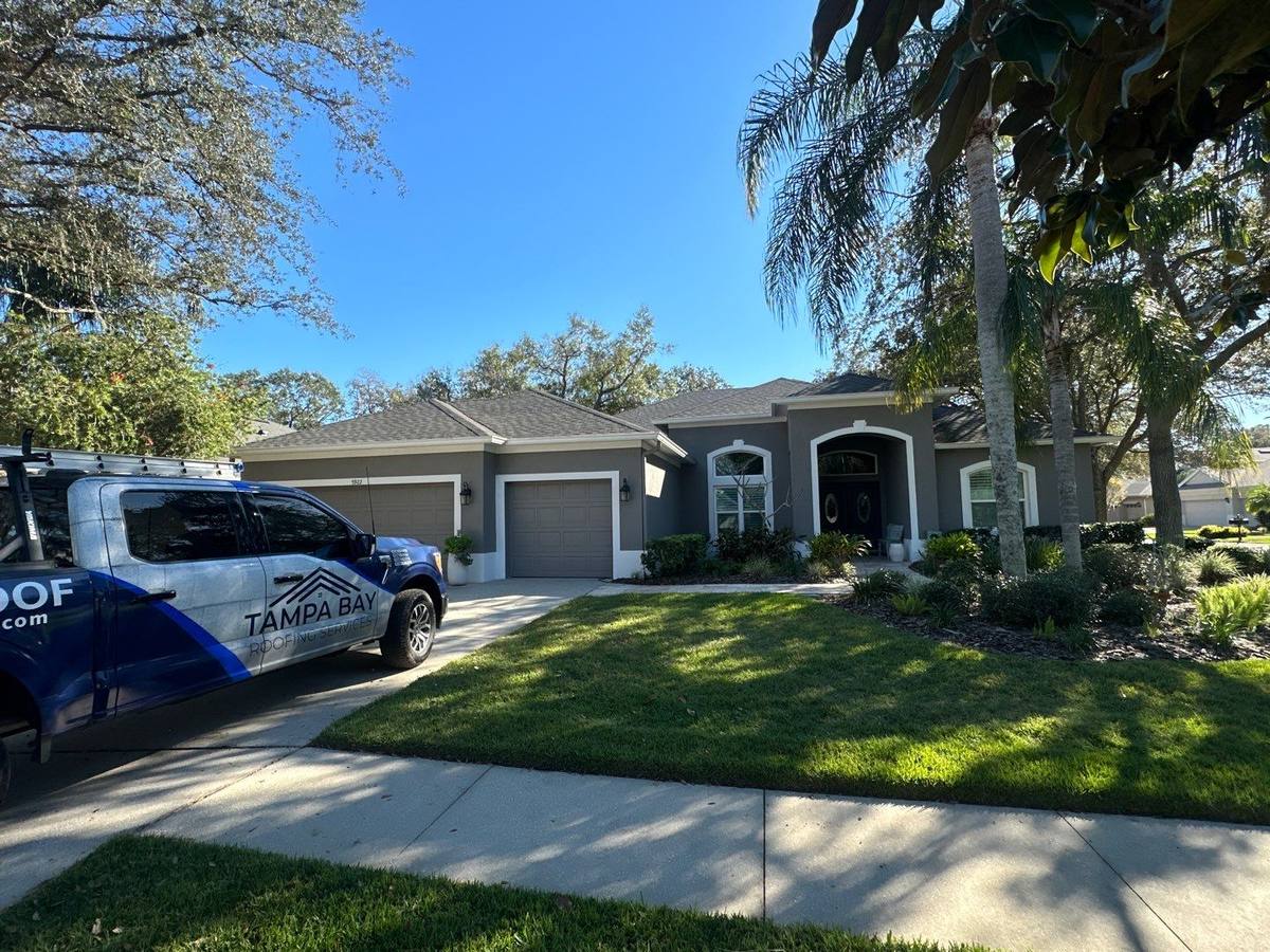 roof replacement in Tampa, Florida