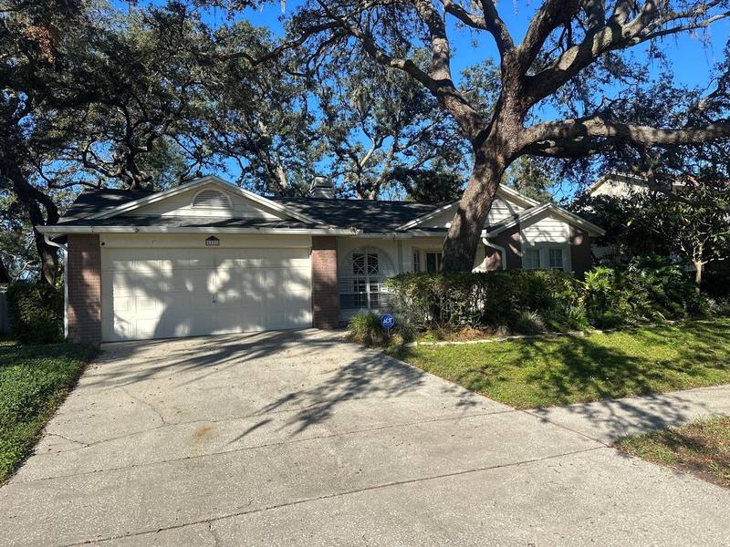 roof replacement in Tampa, Florida