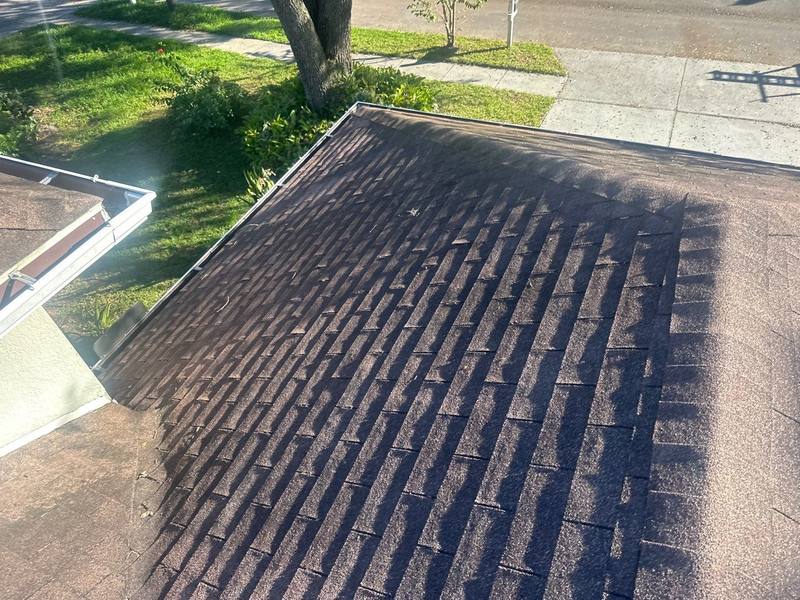 roofing project near Dunnie Dr in Tampa