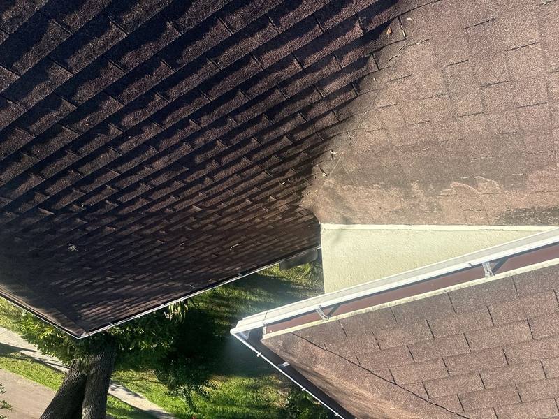 roofing project near Dunnie Dr in Tampa