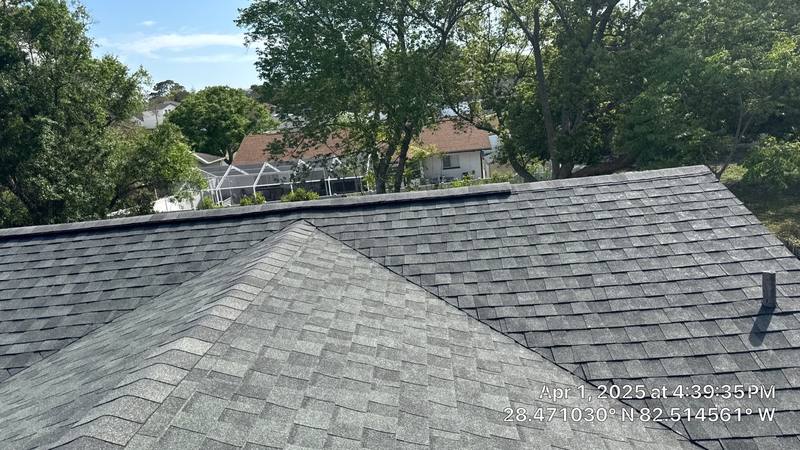 residential shingle roof replacement by Hloska Roofing in Spring Hill