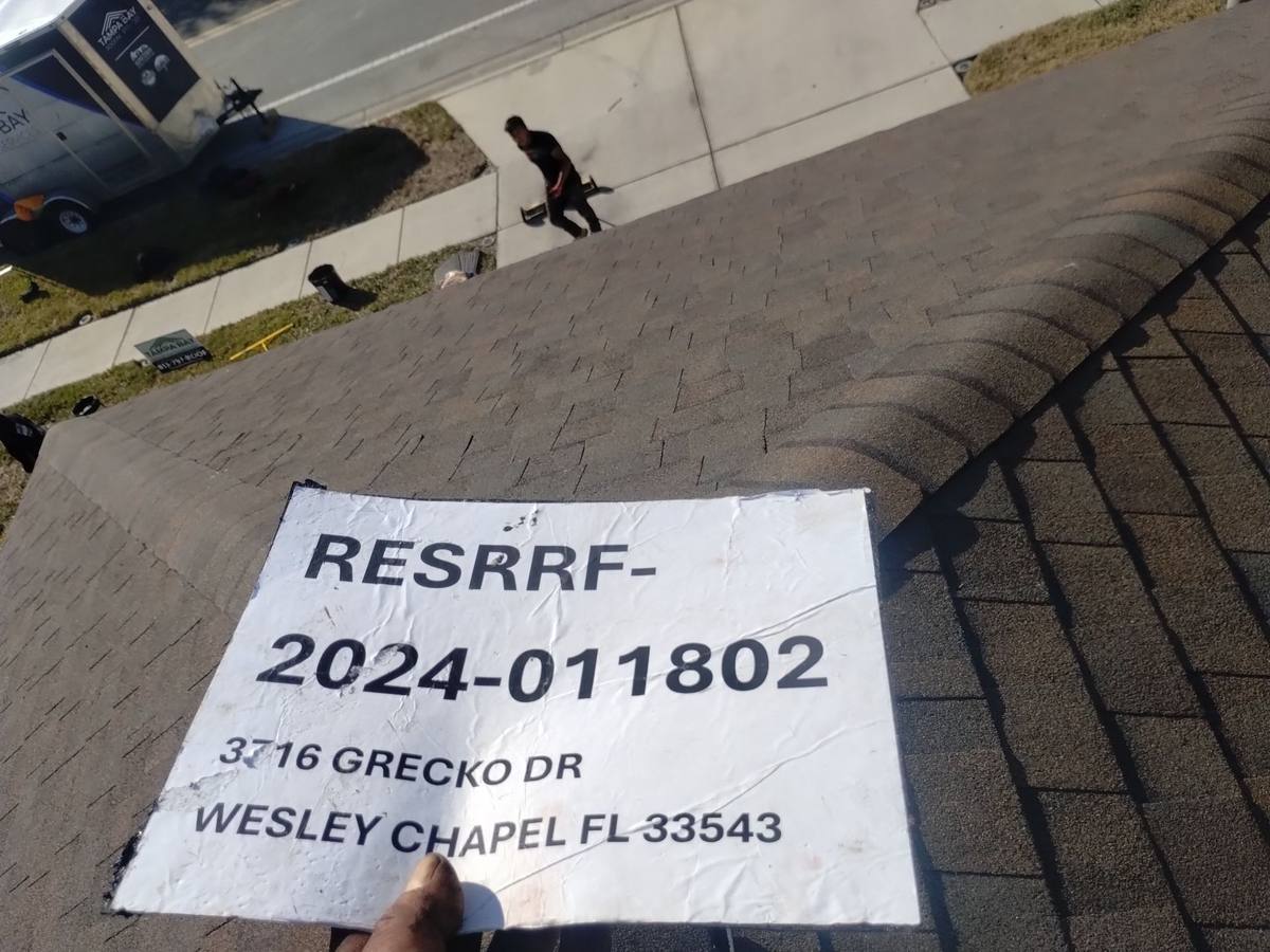 shingle roof replacement in Wesley Chapel, Florida