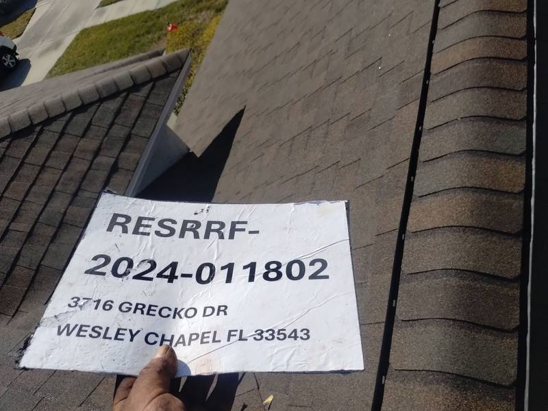 shingle roof replacement in Wesley Chapel, Florida