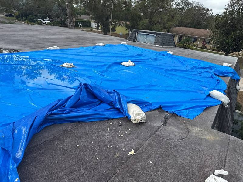 completed roofing project in Temple Terrace FL