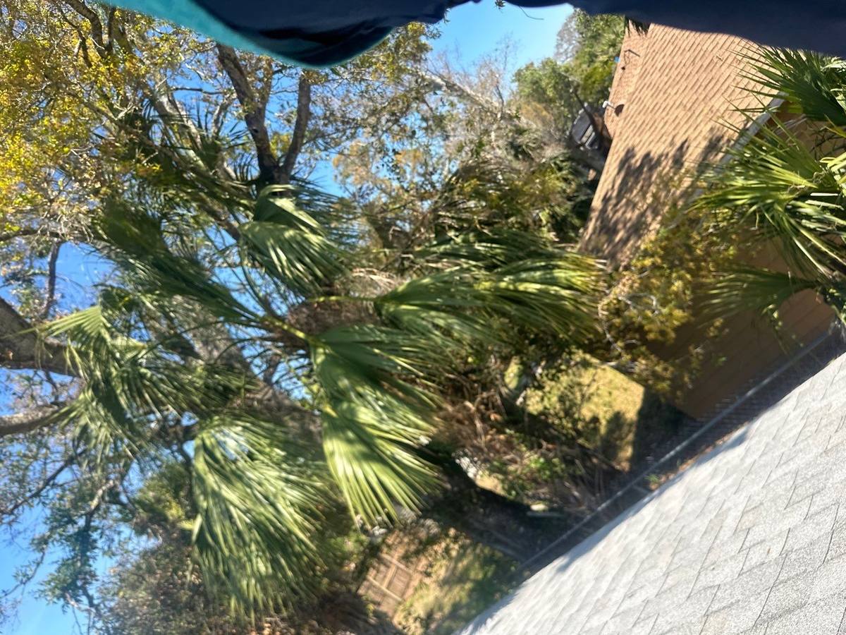 shingle roof replacement in St. Petersburg, Florida
