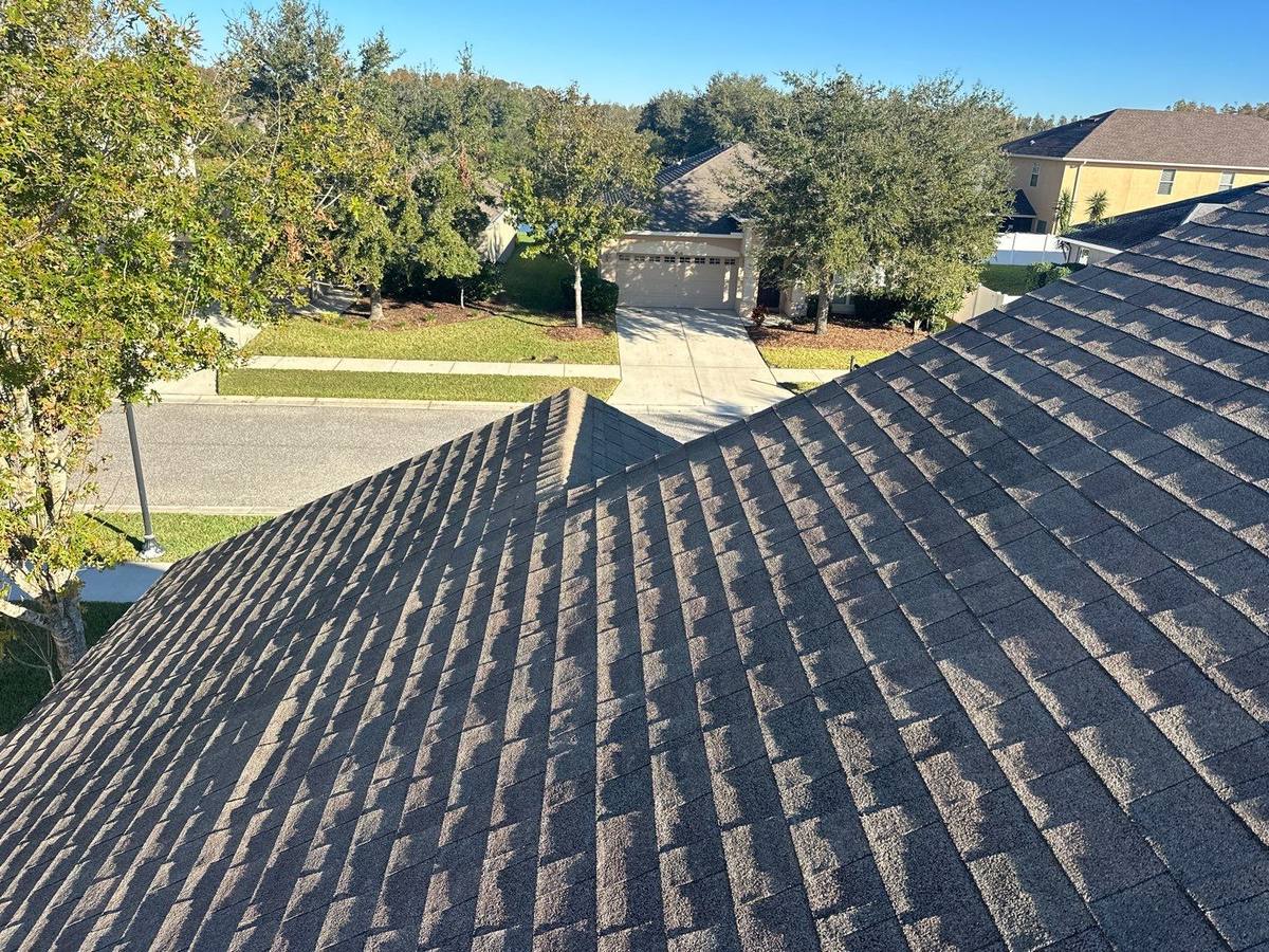 shingle roof replacement in Land O Lakes, Florida