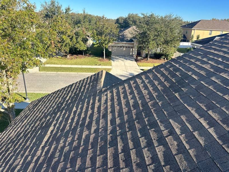 residential shingle roof replacement by Hloska Roofing in Land O Lakes