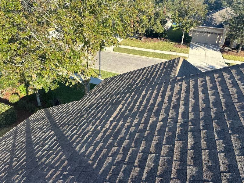 shingle roof replacement in Land O Lakes, Florida