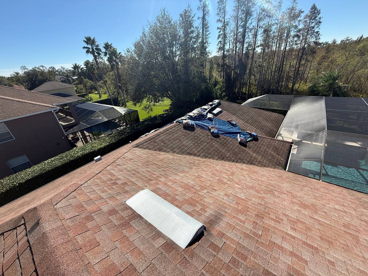 shingle roof replacement in Land O Lakes, Florida