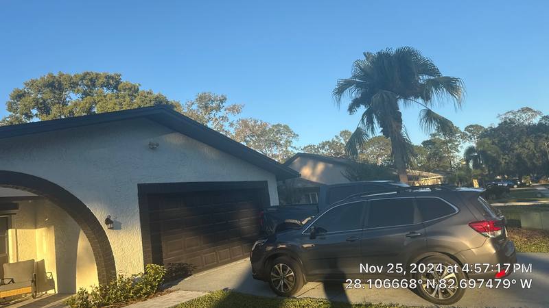 roof repair in Palm Harbor, Florida