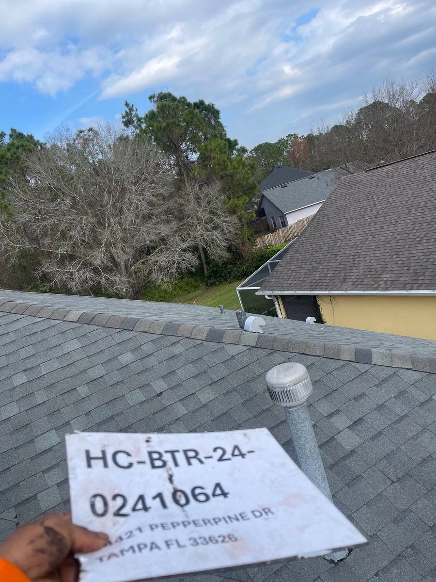 shingle roof replacement in Tampa, Florida