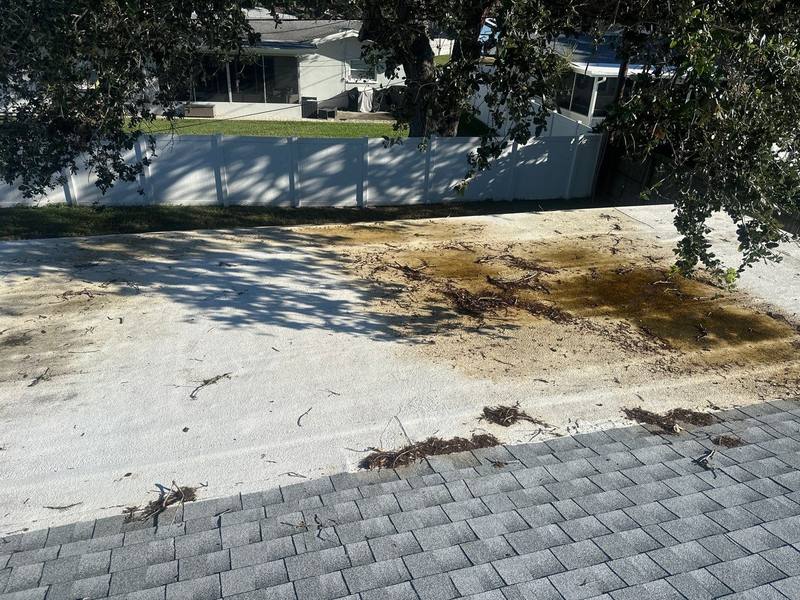 roof replacement in Clearwater, Florida