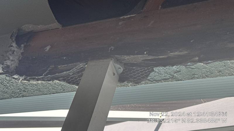 roof repair in Tampa, Florida