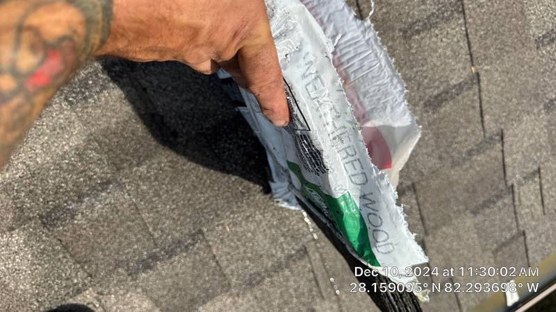 shingle roof replacement in Tampa, Florida