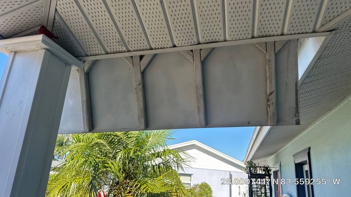 shingle roof replacement in Tampa, Florida