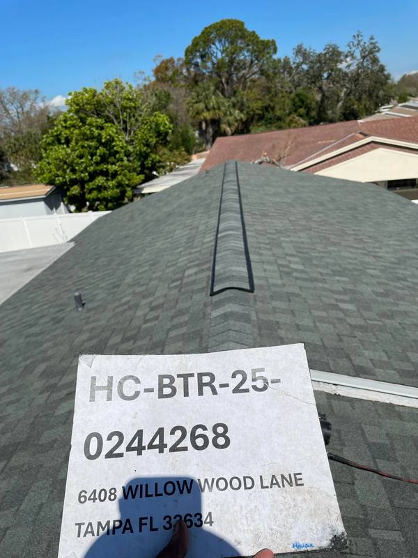shingle roof replacement in Tampa, Florida