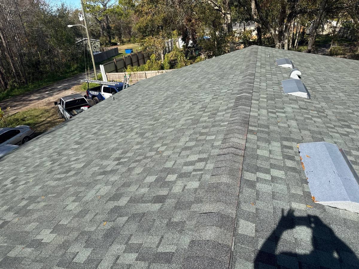 shingle roof replacement in New Port Richey, Florida