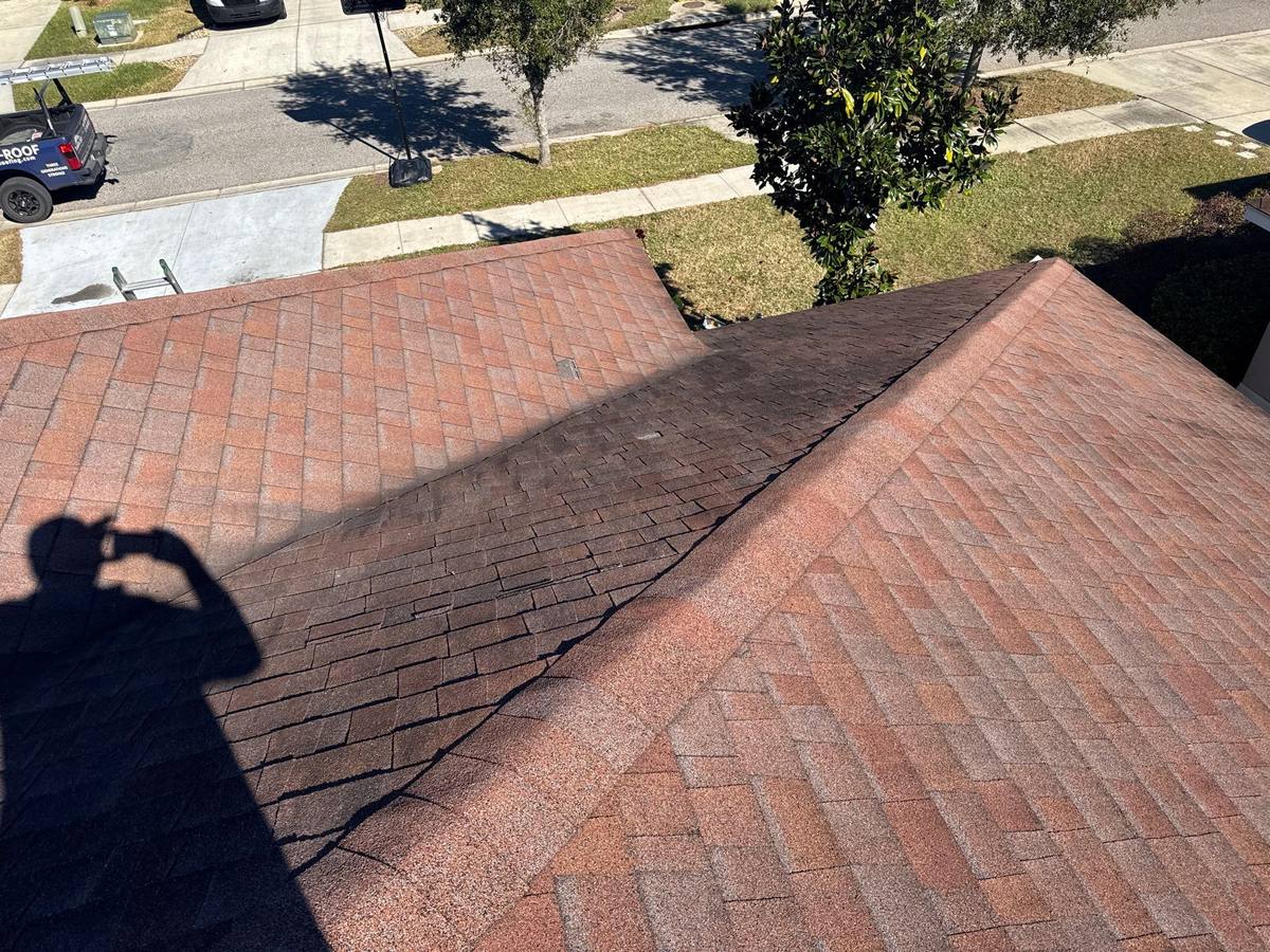 shingle roof replacement in Wimauma, Florida