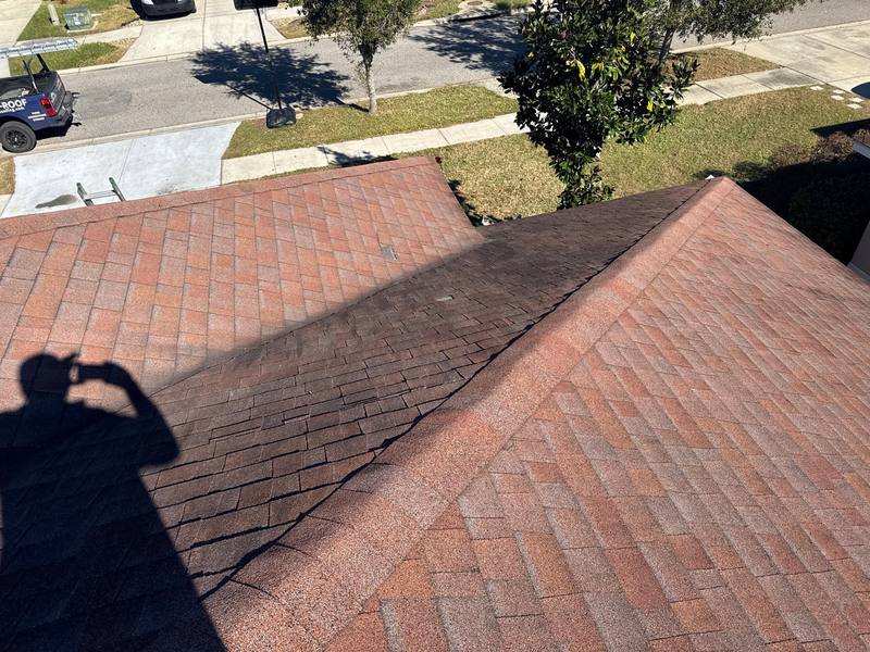 residential shingle roof replacement by Hloska Roofing in Wimauma