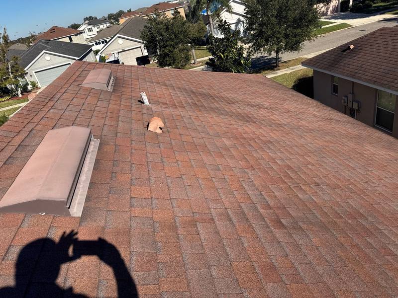 roofing project near Standing Stone Dr in Wimauma