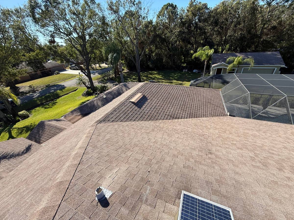 shingle roof replacement in Tampa, Florida