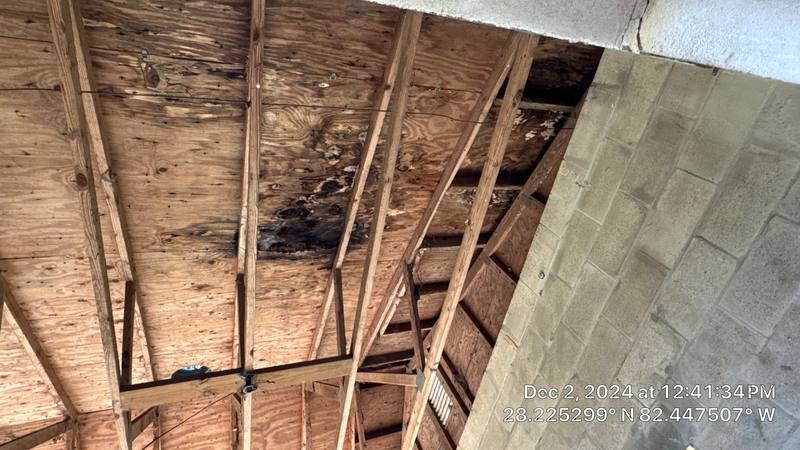 roof replacement in Land O' Lakes, Florida