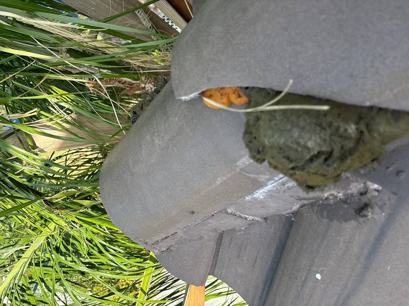 roofing project near Saint Croux Isle Dr in Tampa
