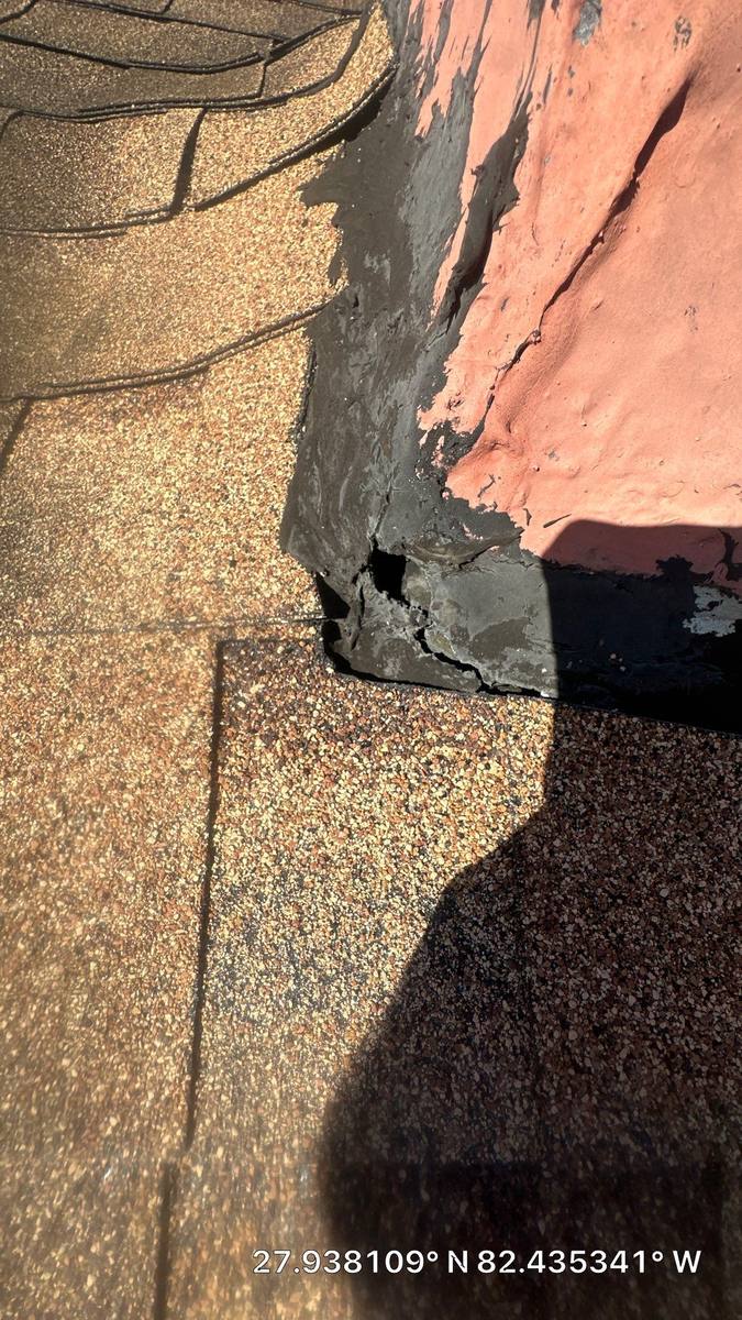 shingle roof replacement in Tampa, Florida
