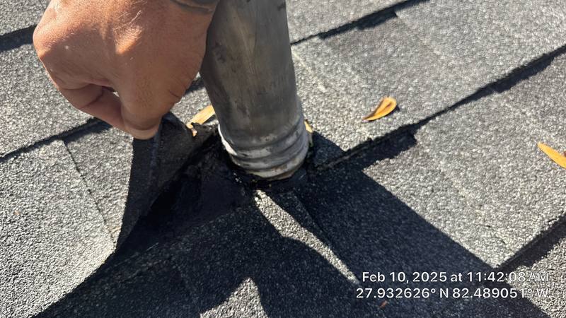 residential shingle roof replacement by Hloska Roofing in Tampa