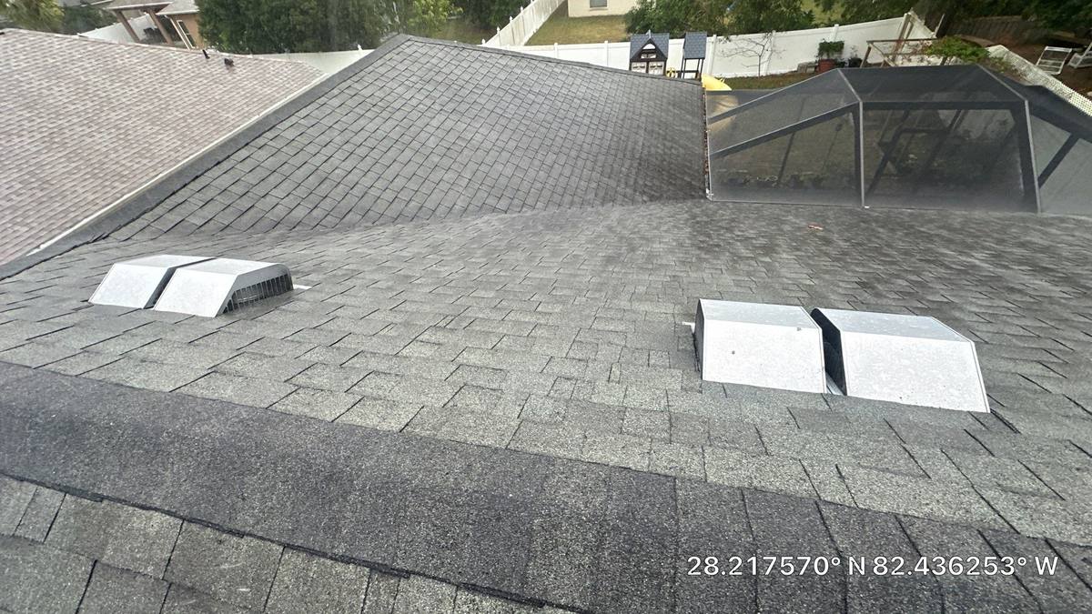 shingle roof replacement in Land O Lakes, Florida