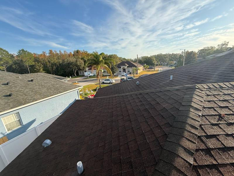roofing project near Woodacre Ln in Tampa