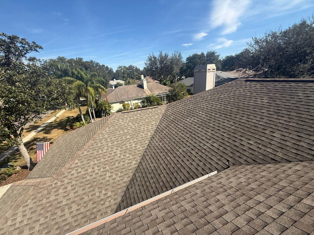 shingle roof replacement in Lutz, Florida