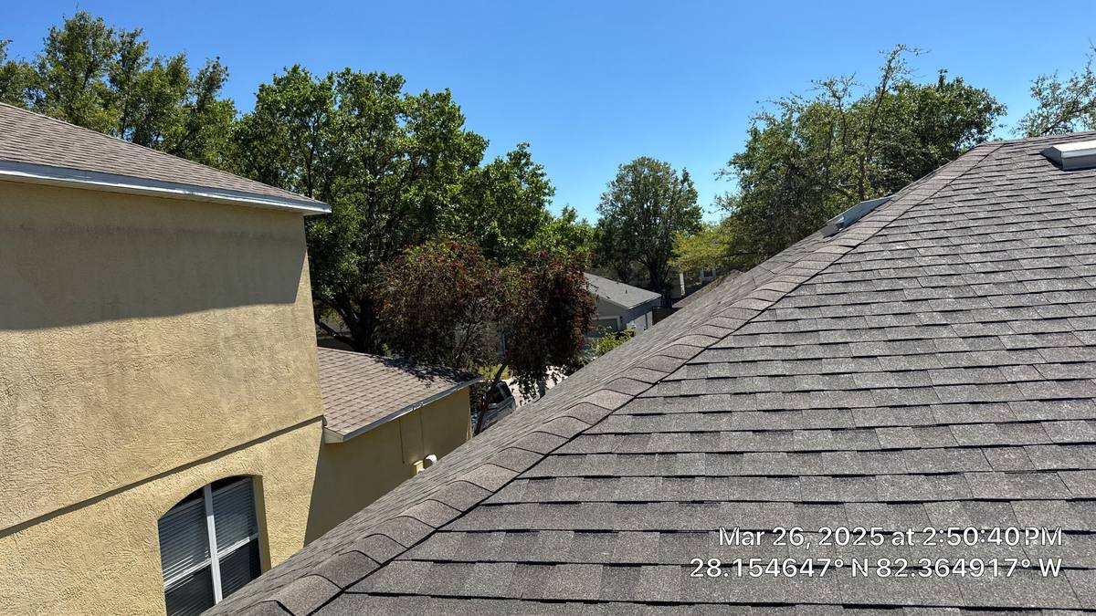 shingle roof replacement in Tampa, Florida