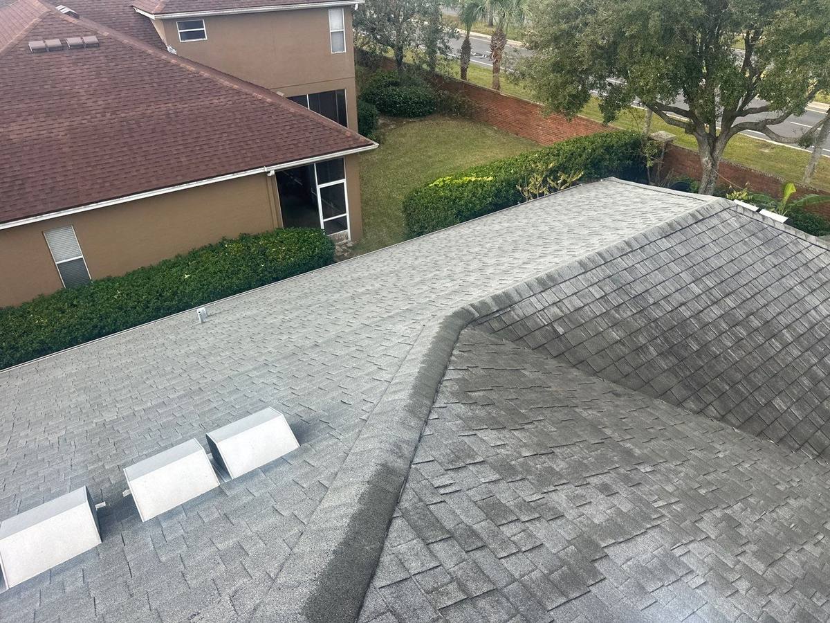 shingle roof replacement in Tampa, Florida