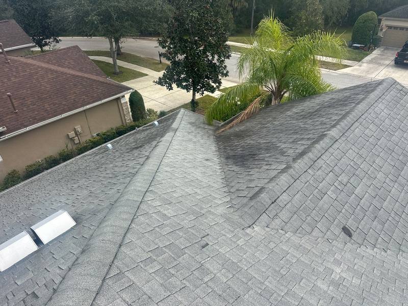 shingle roof replacement in Tampa, Florida