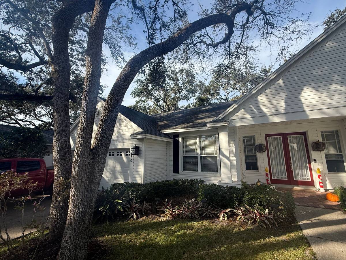 shingle roof replacement in Dunedin, Florida