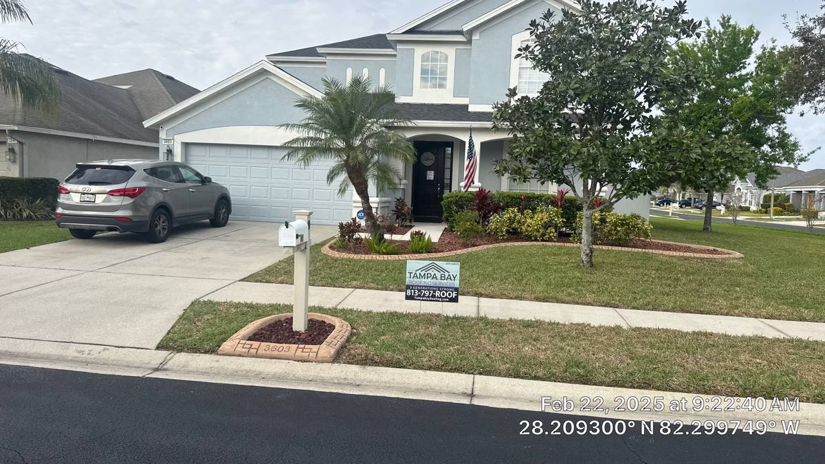 shingle roof replacement in Wesley Chapel, Florida