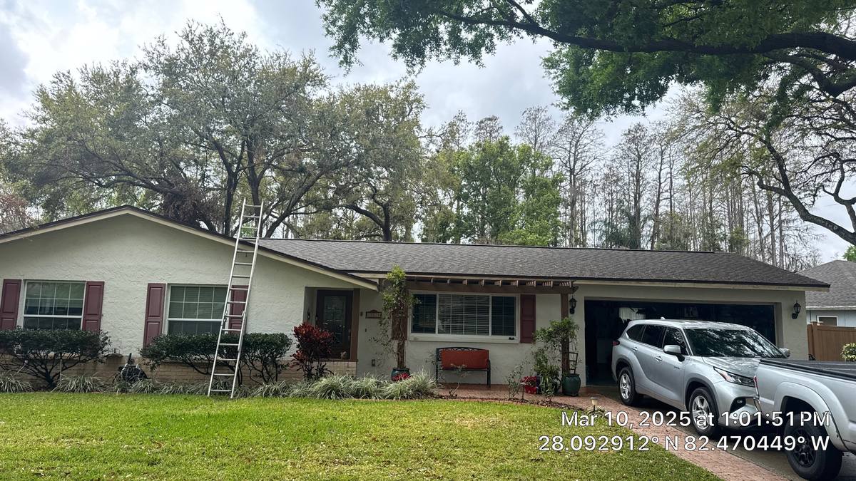 shingle roof replacement in Tampa, Florida