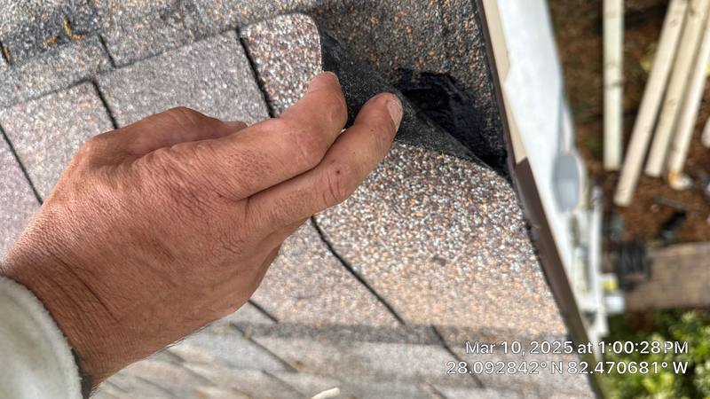 shingle roof replacement in Tampa, Florida