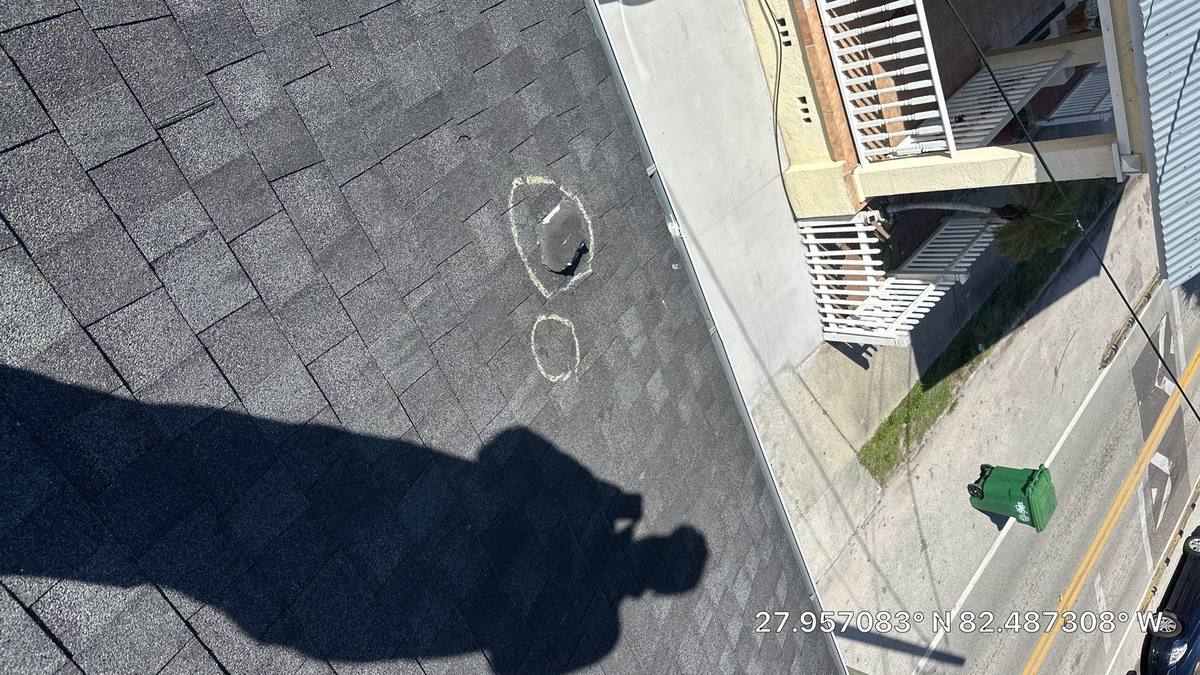 shingle roof replacement in Tampa, Florida